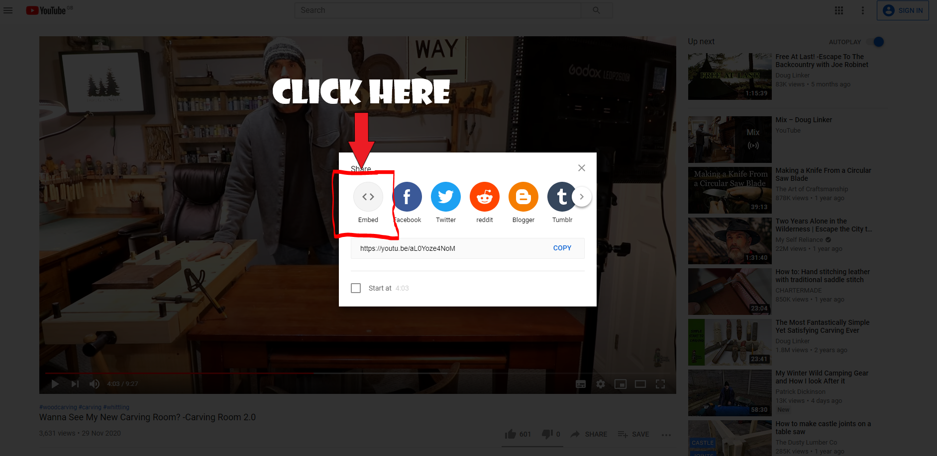 YouTube How to embed videos Step Two